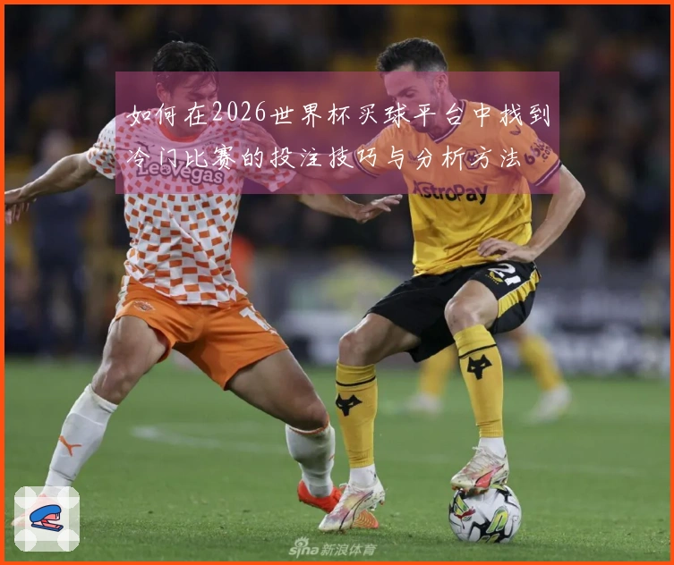 如何在2026世界杯买球平台中找到冷门比赛的投注技巧与分析方法