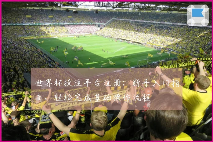 世界杯投注平台注册：新手入门指南，轻松完成基础操作流程