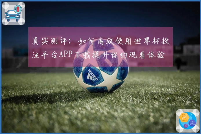 真实测评：如何高效使用世界杯投注平台APP下载提升你的观看体验