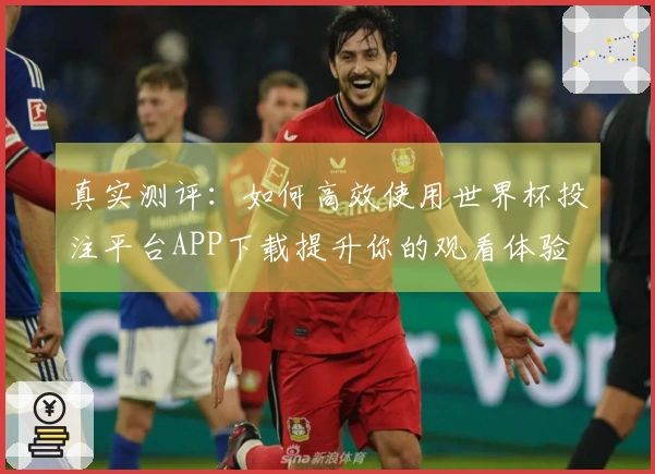 真实测评：如何高效使用世界杯投注平台APP下载提升你的观看体验