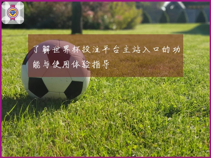 了解世界杯投注平台主站入口的功能与使用体验指导
