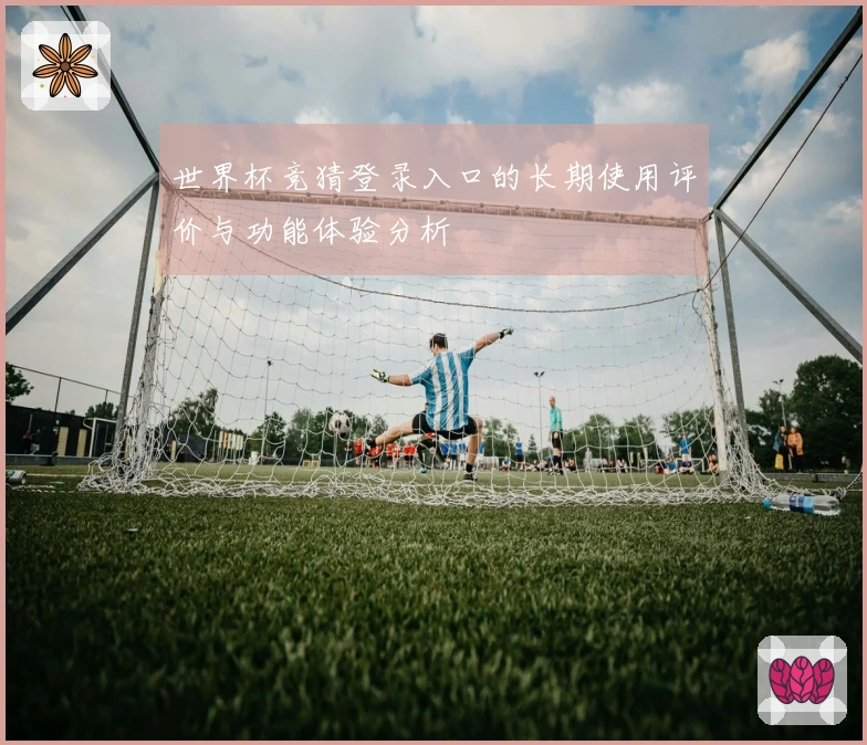 世界杯竞猜登录入口的长期使用评价与功能体验分析