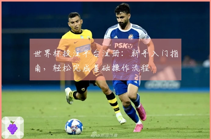 世界杯投注平台注册：新手入门指南，轻松完成基础操作流程