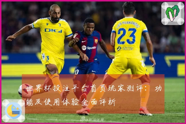 世界杯投注平台首页玩家测评：功能及使用体验全面评析