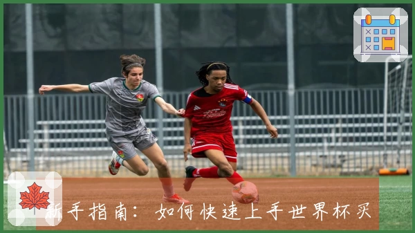 新手指南：如何快速上手世界杯买球网页版入口的基本操作与功能介绍