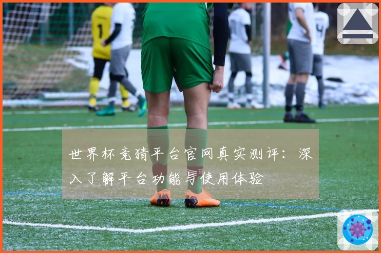 世界杯竞猜平台官网真实测评：深入了解平台功能与使用体验