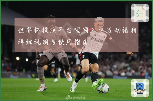 世界杯投注平台官网入口活动福利详细说明与使用指南