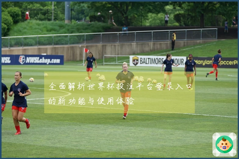 全面解析世界杯投注平台登录入口的新功能与使用体验